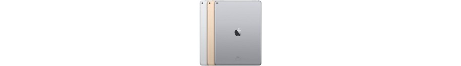iPad Pro (12.9 inch)